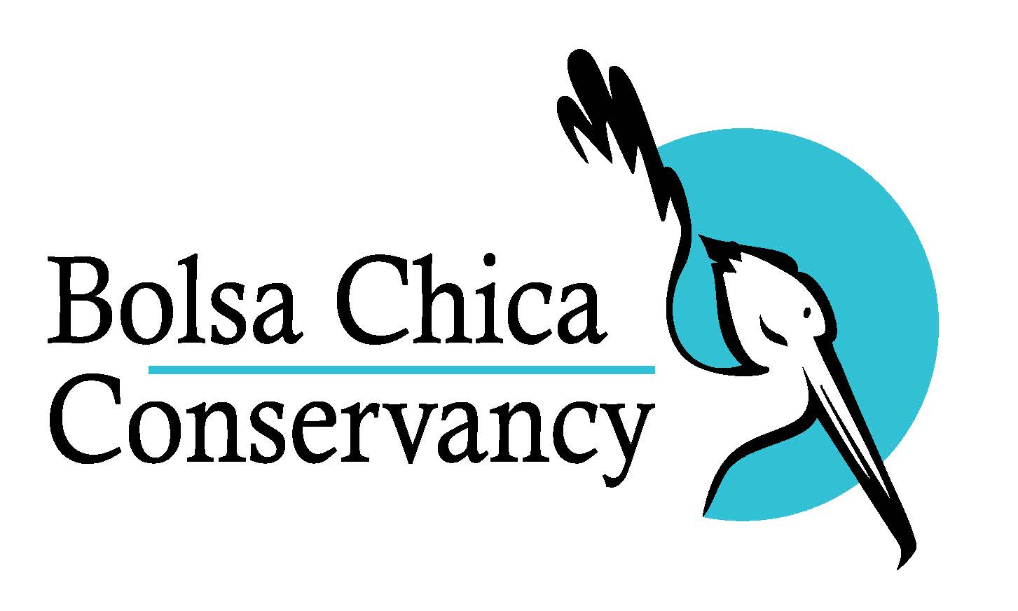 Bolsa Chica Conservancy project image