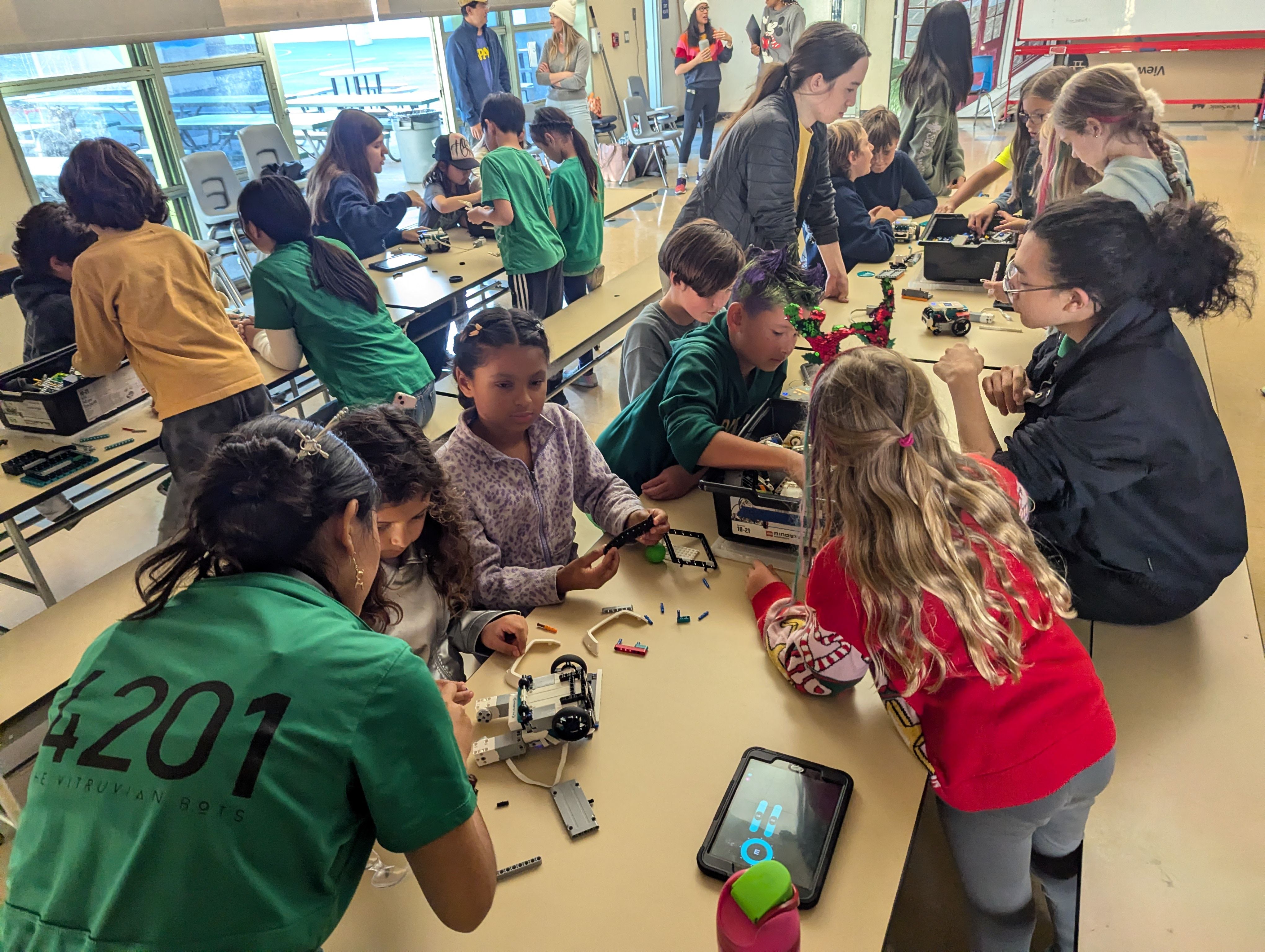 Team 4201: The Vitruvian Bots project image