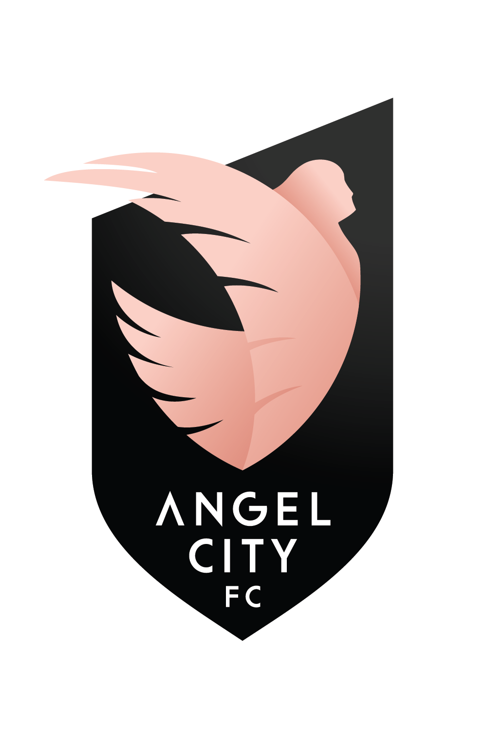 Angel City FC project image