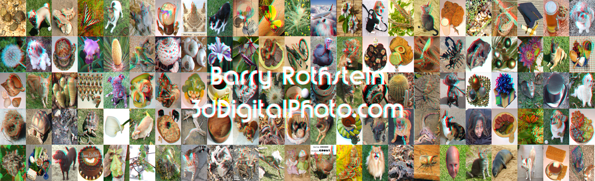 3dDigitalPhoto.com -- Barry Rothstein -- Phantom3D® project image