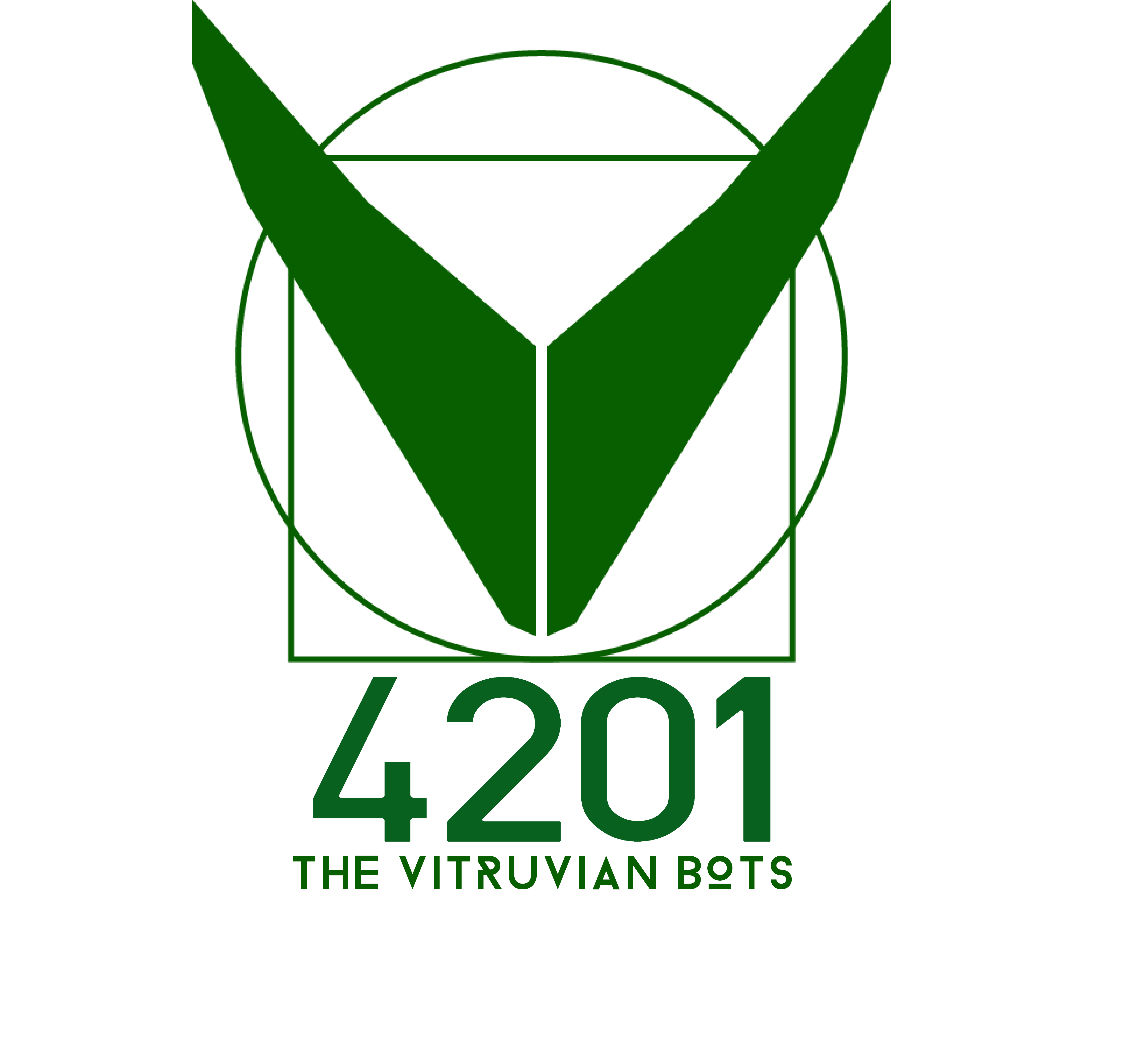 Team 4201: The Vitruvian Bots project image